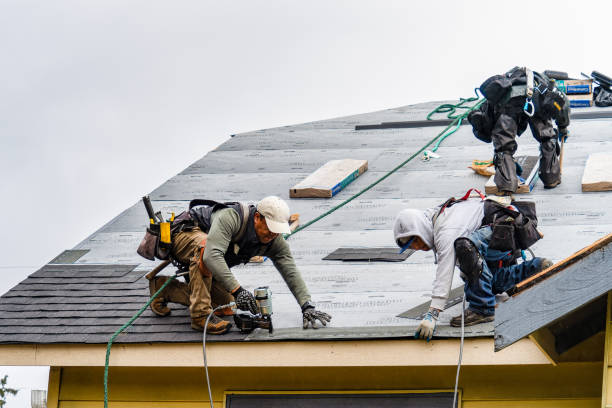 Professional Gutter Installation technician working in Vernon, AL